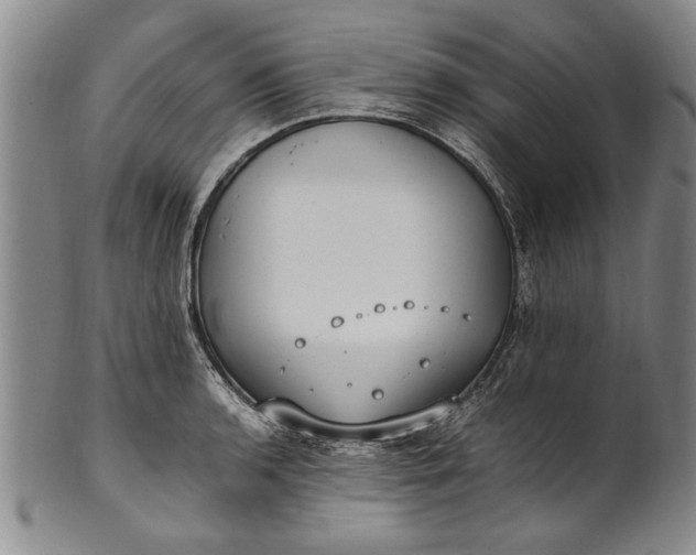 X0000102251136200808081405