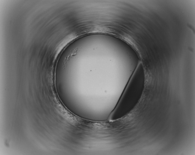 X0000102251138200808081405