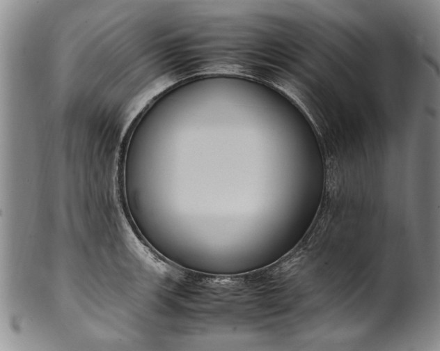 X0000102251139200808081405