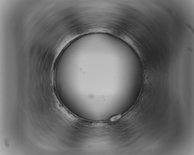 X0000102251140200808081405