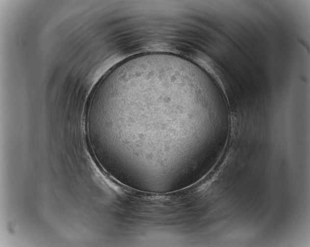 X0000102251141200808081405