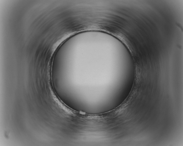 X0000102251142200808081405