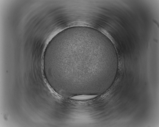 X0000102251144200808081405