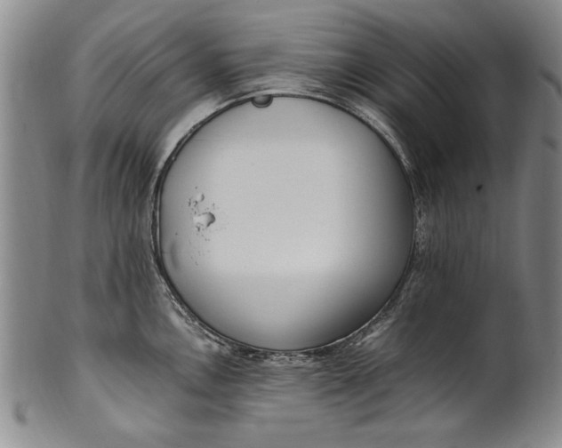 X0000102251146200808081405