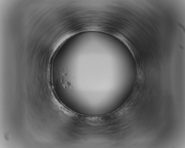 X0000102251147200808081405