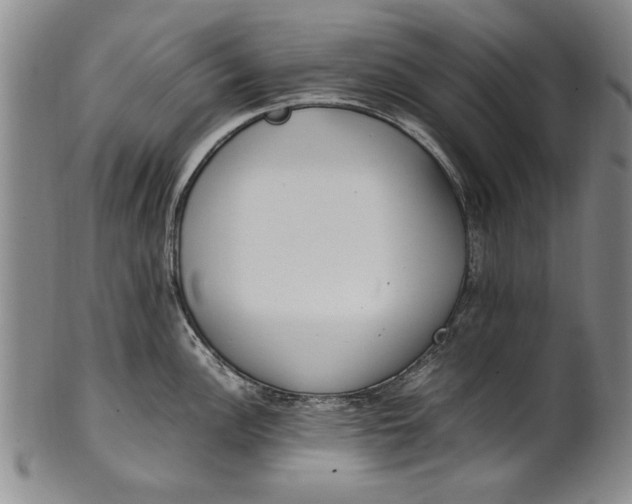 X0000102251148200808081405