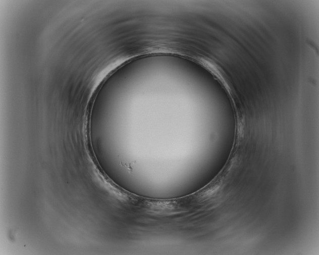 X0000102251149200808081405