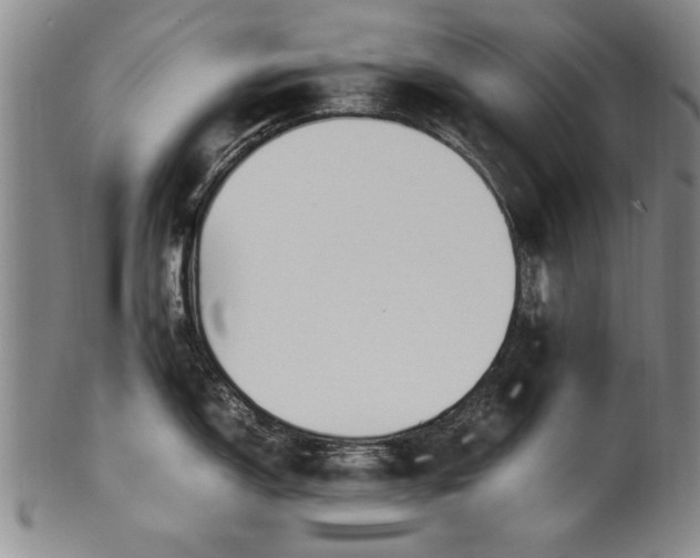 X0000102251150200808081405