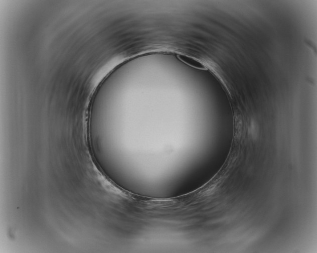 X0000102251151200808081405