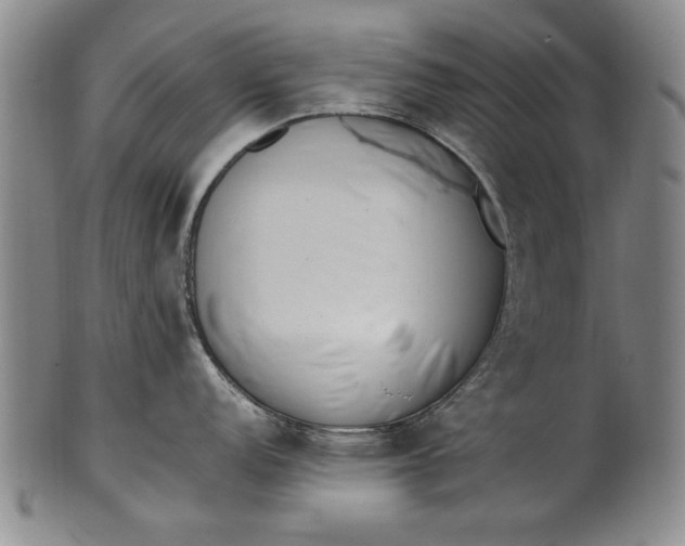 X0000102251152200808081405