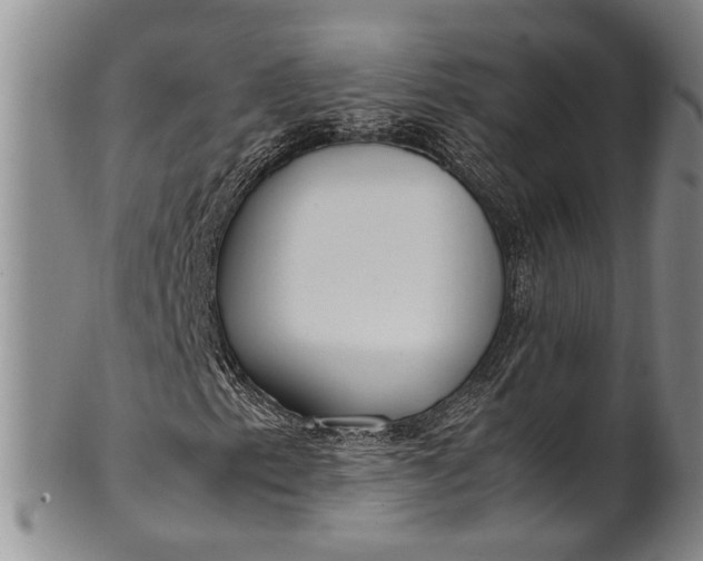 X0000102251153200808081404