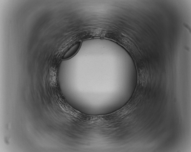 X0000102251154200808081404