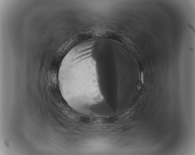 X0000102251155200808081404