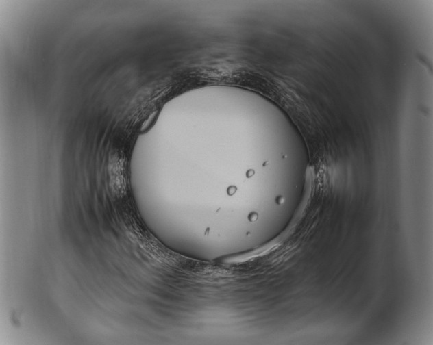 X0000102251156200808081404