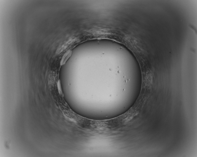 X0000102251157200808081404