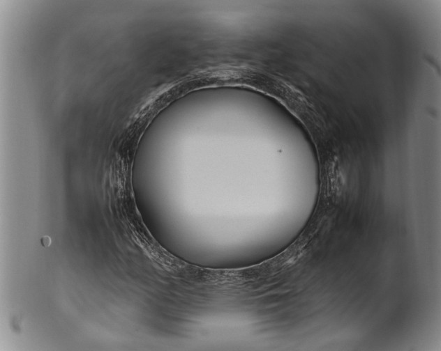 X0000102251158200808081404