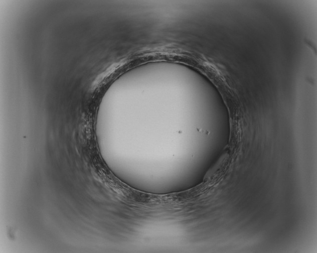 X0000102251159200808081404