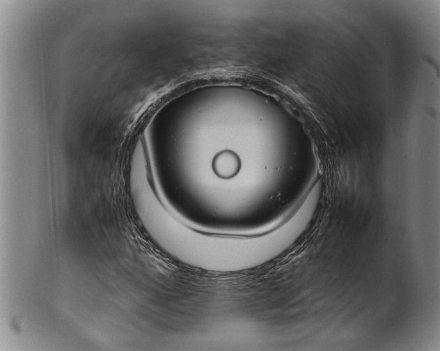 X0000102251160200808081404