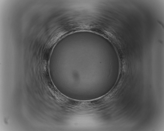 X0000102251161200808081404