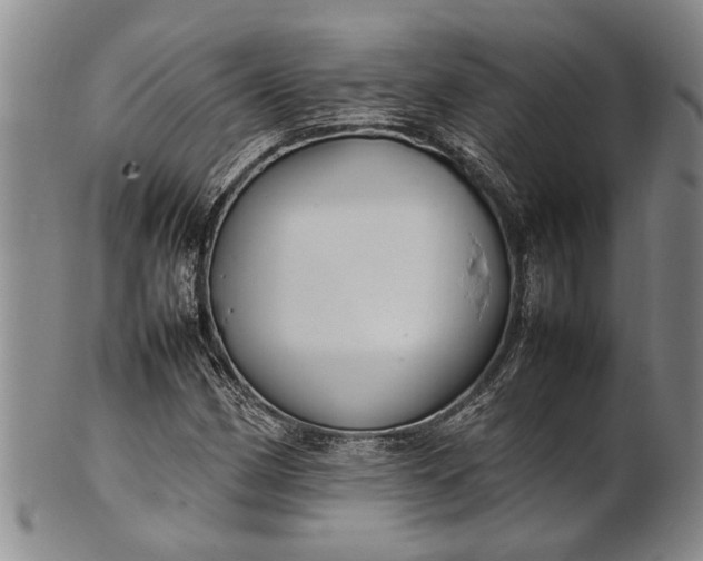 X0000102251162200808081404