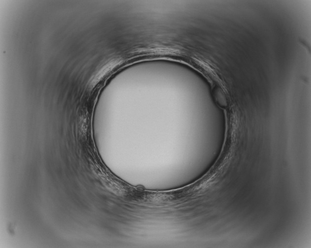 X0000102251163200808081404