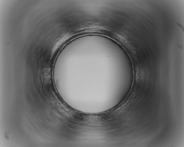 X0000102251164200808081404