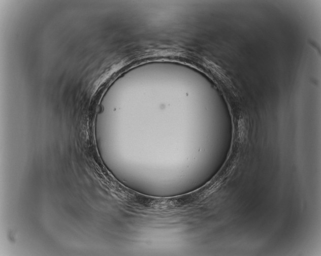 X0000102251165200808081404