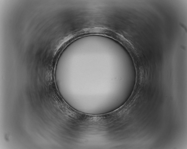 X0000102251166200808081404