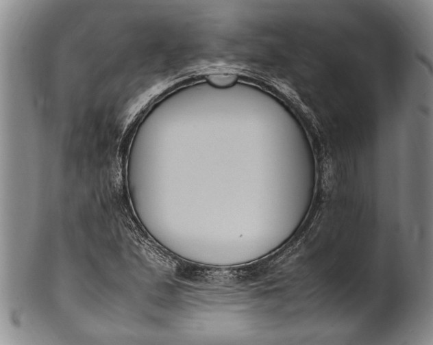 X0000102251167200808081404