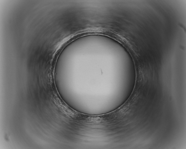 X0000102251168200808081404