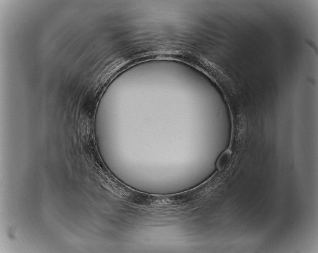 X0000102251169200808081404