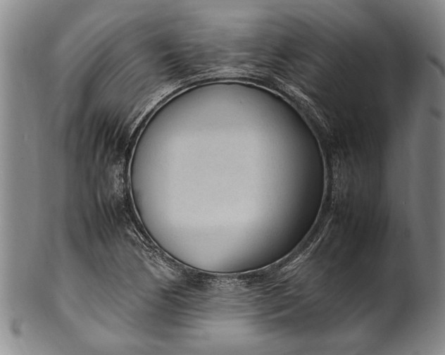 X0000102251170200808081404