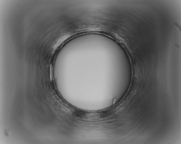 X0000102251171200808081404