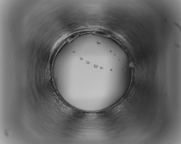 X0000102251172200808081404