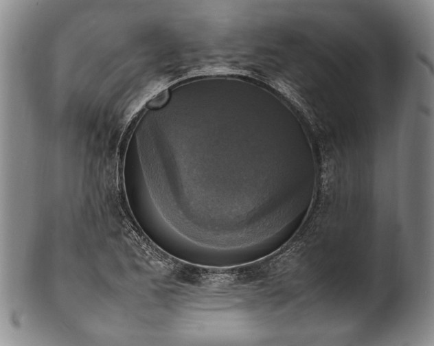 X0000102251173200808081404