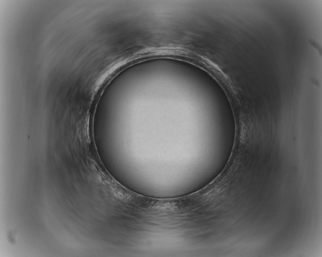 X0000102251174200808081404