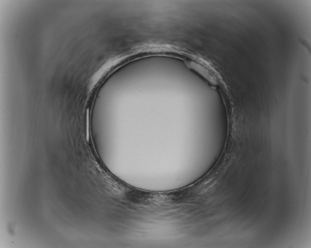 X0000102251175200808081404