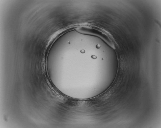 X0000102251176200808081404