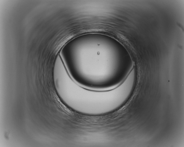 X0000102251177200808081404