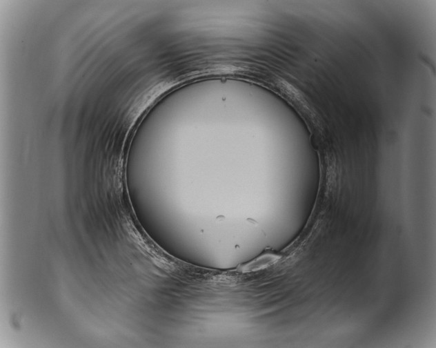 X0000102251178200808081404