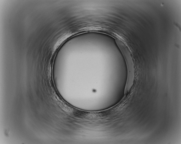 X0000102251179200808081404