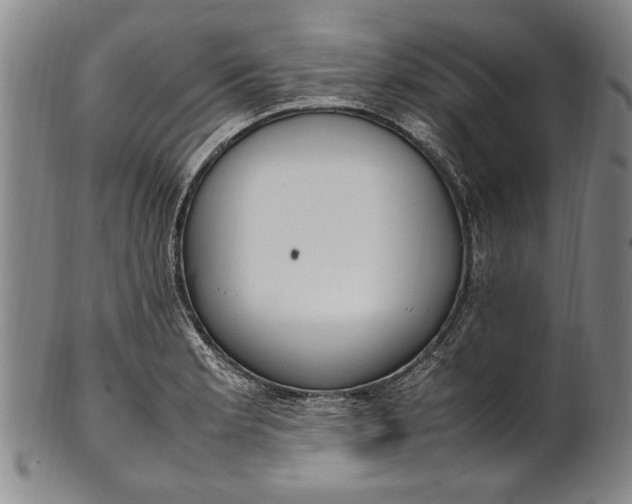 X0000102251181200808081404