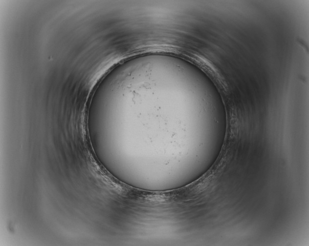 X0000102251182200808081404