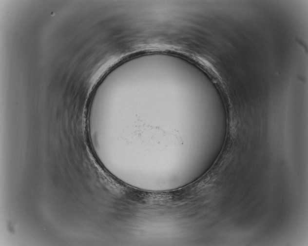 X0000102251183200808081404