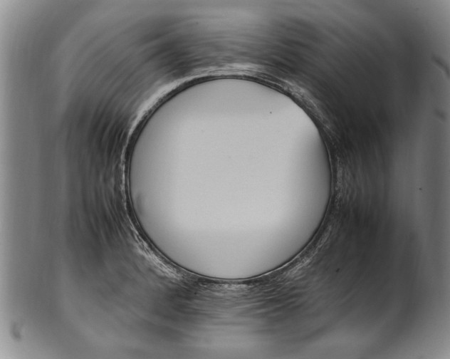 X0000102251184200808081404