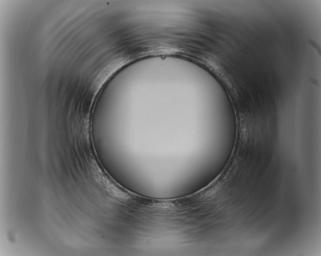 X0000102251186200808081404