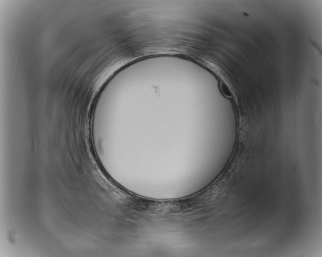 X0000102251187200808081404