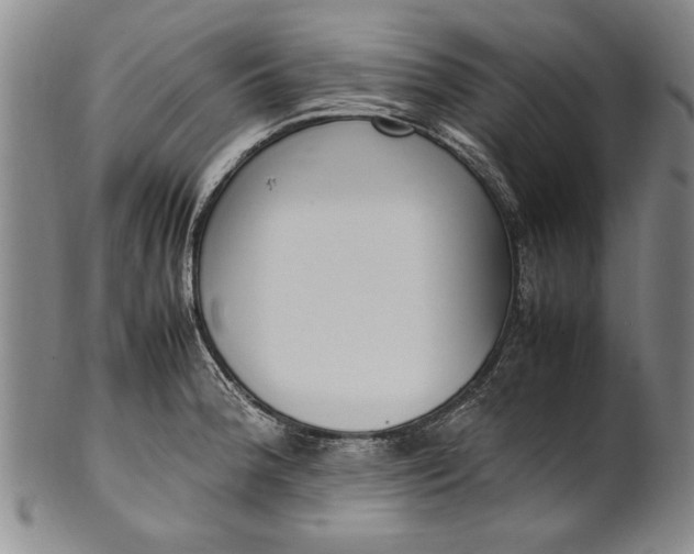 X0000102251188200808081404