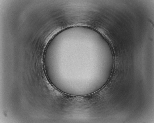 X0000102251189200808081404