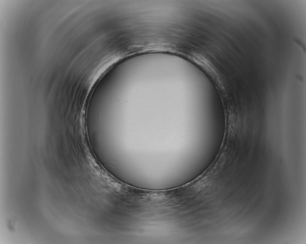 X0000102251190200808081404